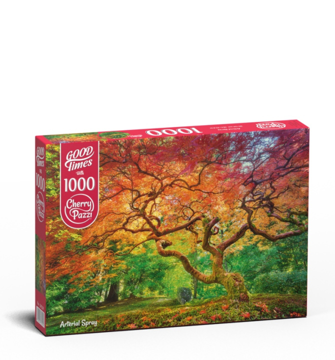 Kniha Puzzle 1000 Cherry Pazzi Arterial Spray 30530 