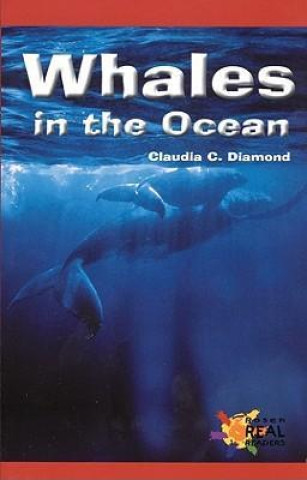 Kniha Whales in the Ocean 