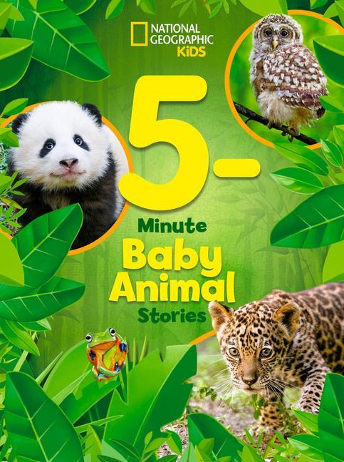 Buch National Geographic Kids 5-Minute Baby Animal Stories 