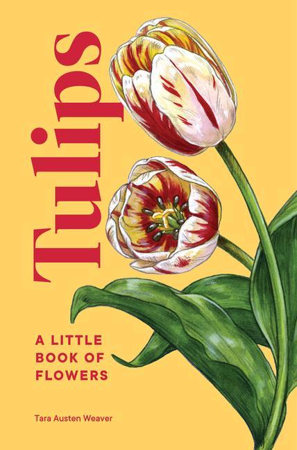 Kniha Tulips 