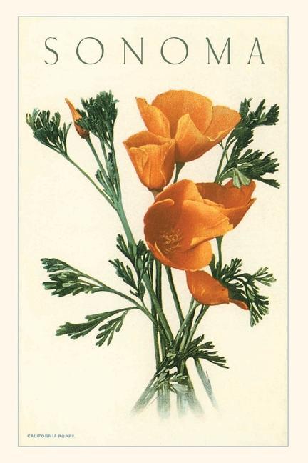 Knjiga Vintage Journal California Poppies, Sonoma Found Image Press