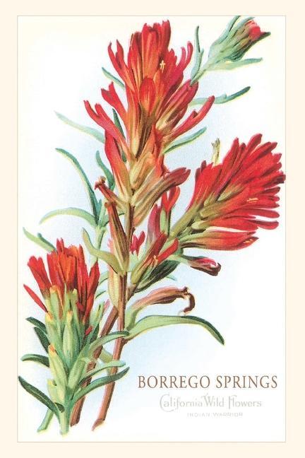 Knjiga Vintage Journal Borrego Springs, Wildflowers Found Image Press