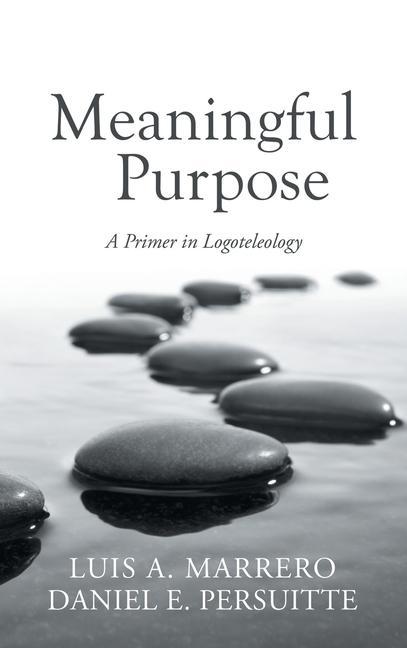 Boek Meaningful Purpose Daniel E. Persuitte