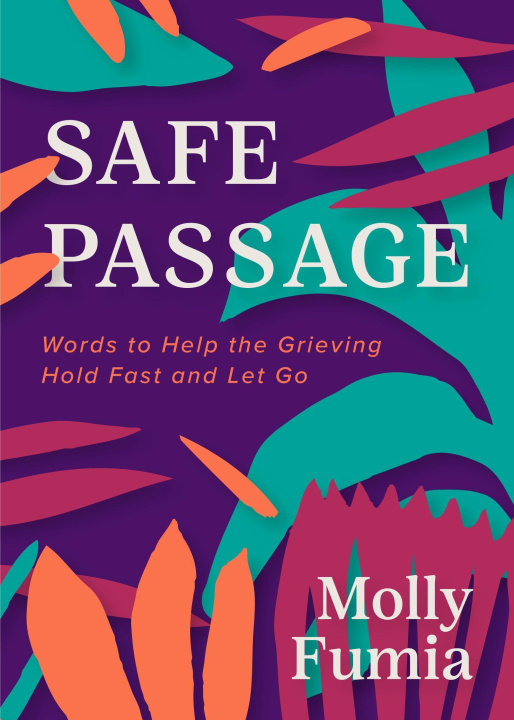 Knjiga Safe Passage 