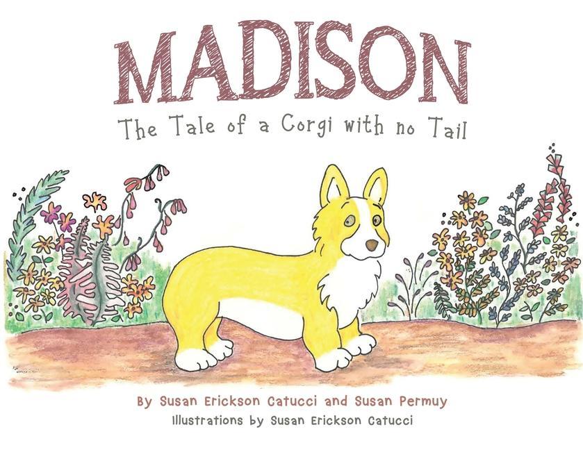 Knjiga Madison Susan Permuy