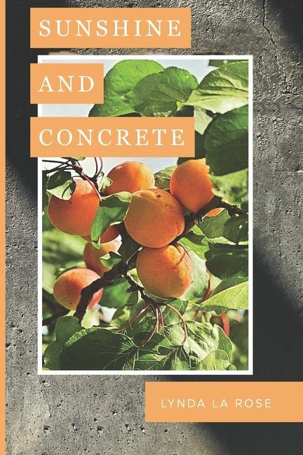 Knjiga Sunshine and Concrete Lynda La Rose