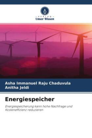 Boek Energiespeicher Anitha Jeldi
