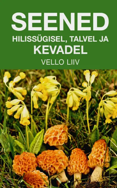 Book Seened hilissügisel, talvel ja kevadel 