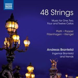 Zvok 48 Strings 