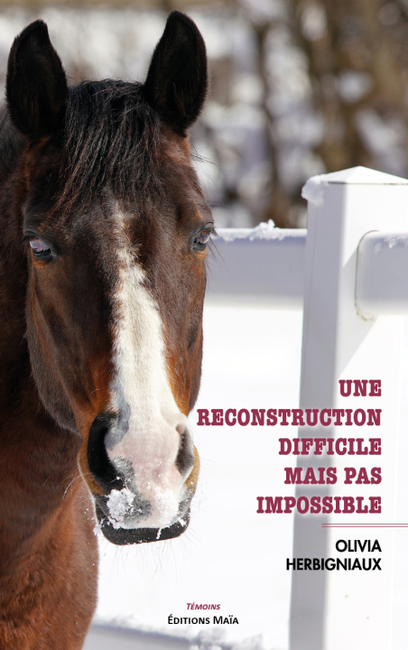 Knjiga Une reconstruction difficile mais pas impossible Herbigniaux