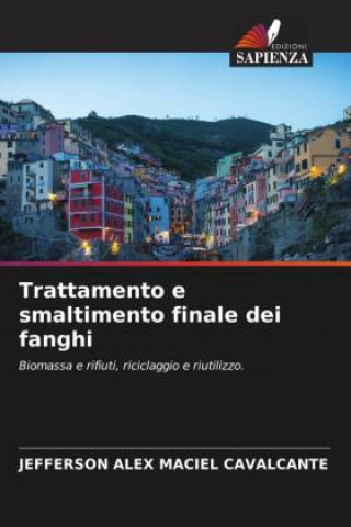 Boek Trattamento e smaltimento finale dei fanghi Jefferson Alex Maciel Cavalcante