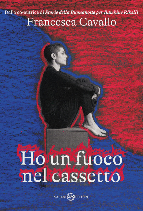 Kniha Ho un fuoco nel cassetto Francesca Cavallo