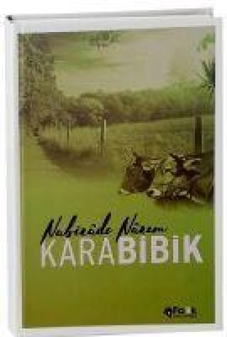 Knjiga Karabibik 