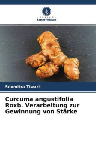 Boek Curcuma angustifolia Roxb. Verarbeitung zur Gewinnung von Stärke Sadanand Patel