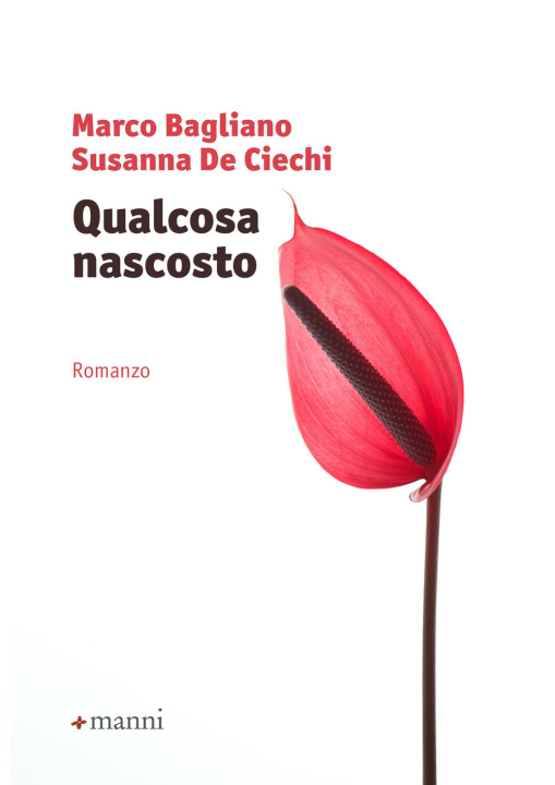 Könyv Qualcosa nascosto Marco Bagliano