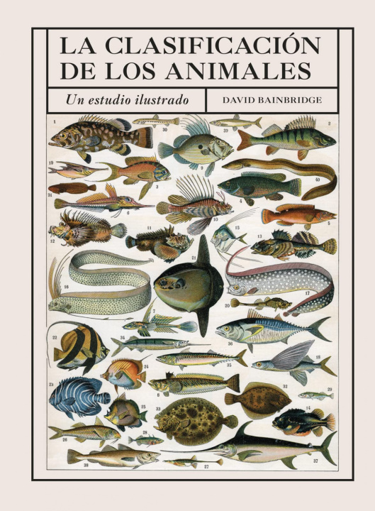 Carte CLASIFICACION DE LOS ANIMALES, LA DAVID BAINBRIDGE