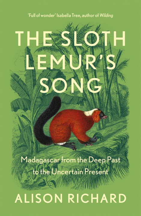 Kniha Sloth Lemur's Song 