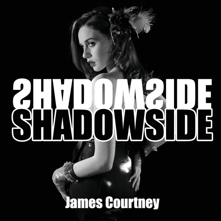 Knjiga Shadowside James Courtney