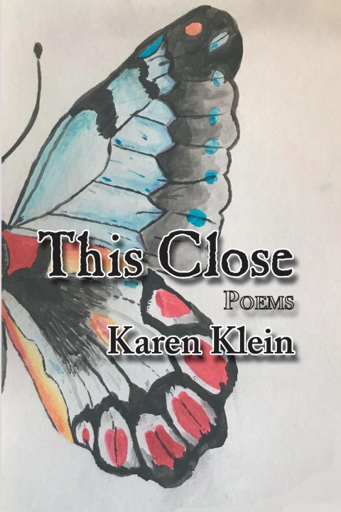 Knjiga This Close Karen Klein