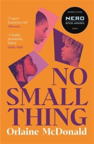 Kniha NO SMALL THING Orlaine McDonald