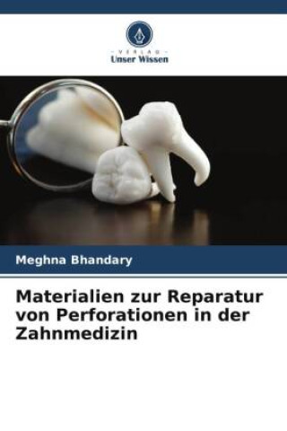 Könyv Materialien zur Reparatur von Perforationen in der Zahnmedizin 