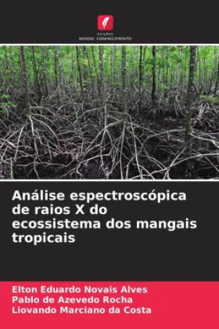 Książka Análise espectroscópica de raios X do ecossistema dos mangais tropicais Pablo de Azevedo Rocha