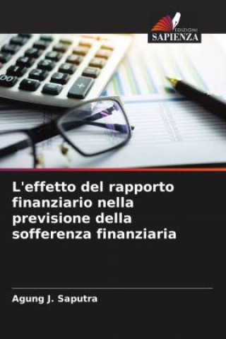 Boek L'effetto del rapporto finanziario nella previsione della sofferenza finanziaria Clarita Novianti