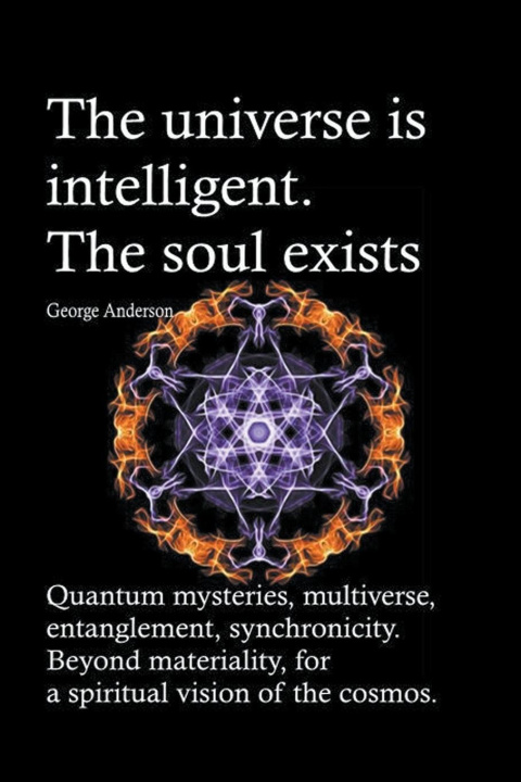 Kniha universe is intelligent. The soul exists. Quantum mysteries, multiverse, entanglement, synchronicity. Beyond materiality, for a spiritual vision of th 