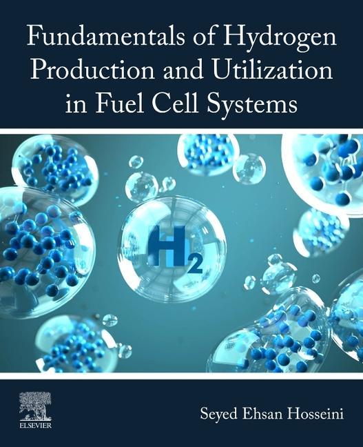 Könyv Fundamentals of Hydrogen Production and Utilization in Fuel Cell Systems Seyed Hosseini