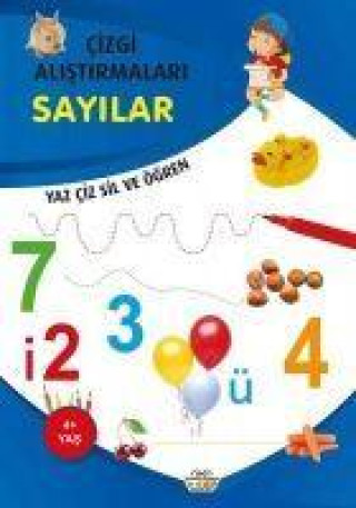 Boek Sayilar - Yaz Ciz Siz ve Ögren 