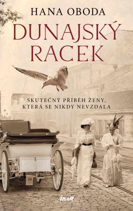 Book Dunajský racek Hana Oboda