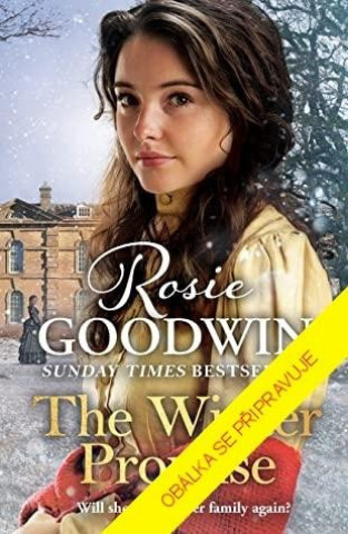 Könyv Zimní slib Rosie Goodwin