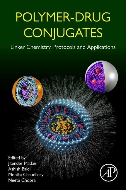 Kniha Polymer-Drug Conjugates Jitender Madan