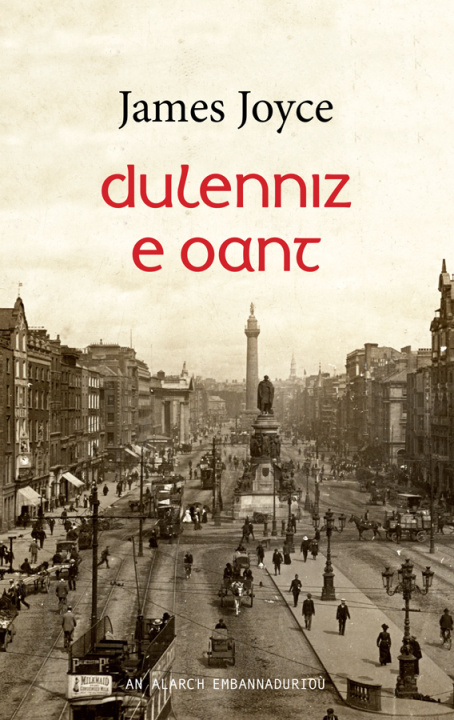 Książka Dulenniz e oant Joyce