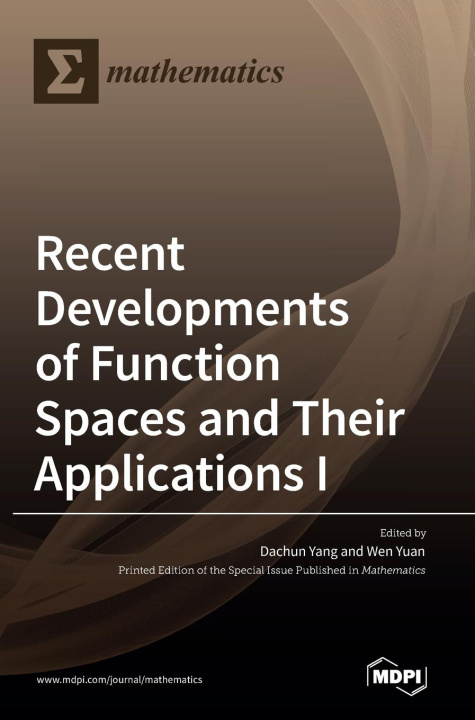 Książka Recent Developments of Function Spaces and Their Applications I Dachun Yang