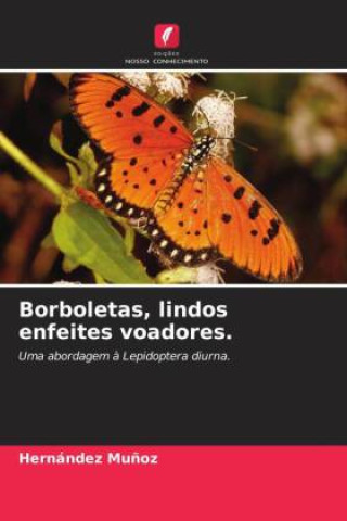 Buch Borboletas, lindos enfeites voadores. Hernández Muñoz