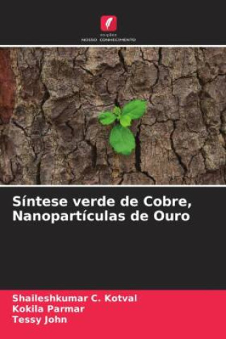 Knjiga Síntese verde de Cobre, Nanopartículas de Ouro Kokila Parmar