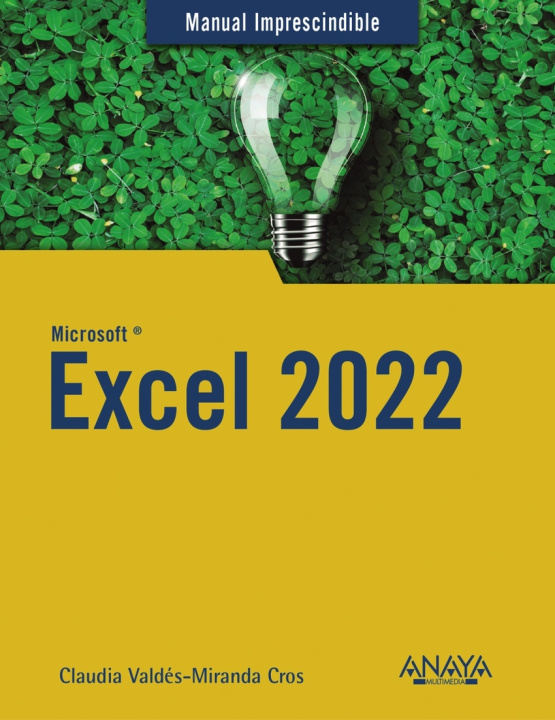 Kniha Excel 2022 CLAUDIA VALDES-MIRANDA