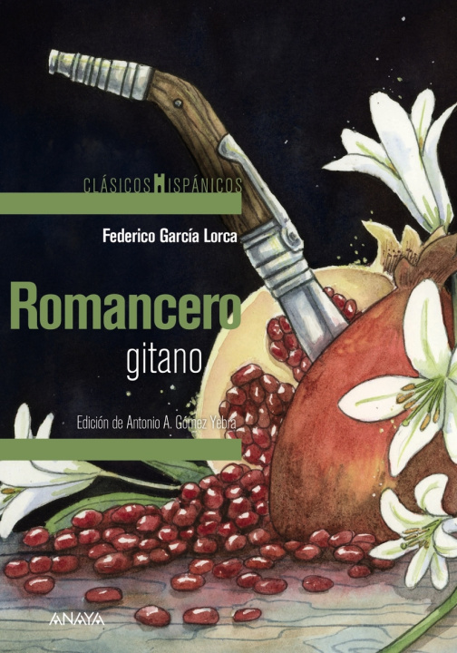 Knjiga Romancero gitano FEDERICO GARCIA LORCA
