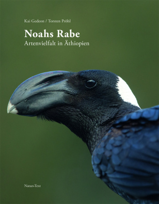 Buch Noahs Rabe Torsten Pröhl