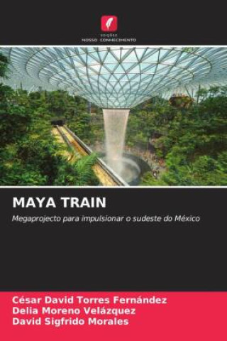 Knjiga MAYA TRAIN Delia Moreno Velázquez