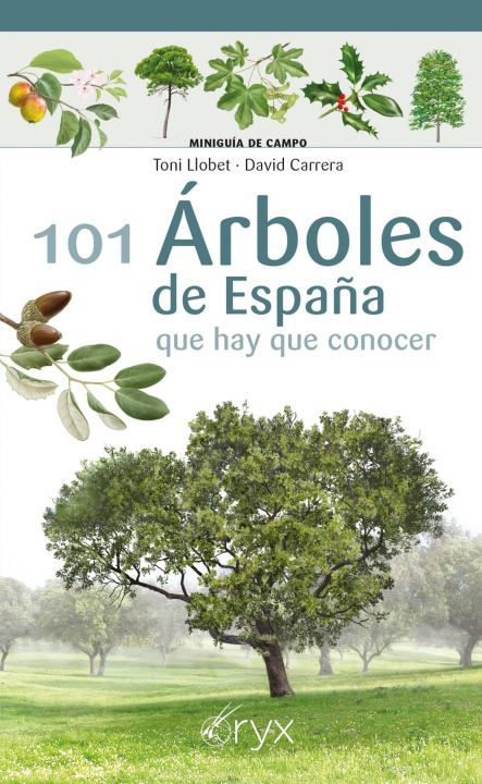 Könyv 101 Árboles de España TONI LLOBET