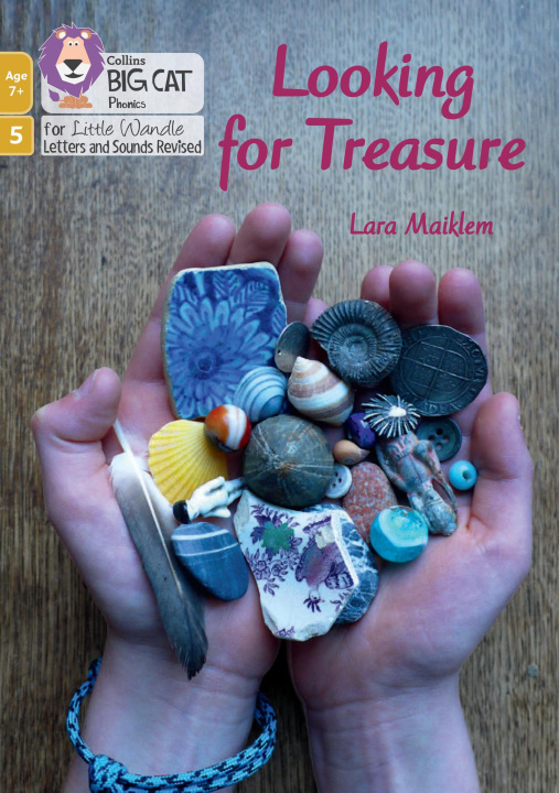 Kniha Looking for Treasure Lara Maiklem