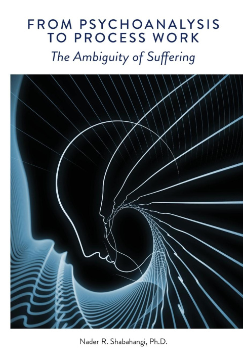 Kniha From Psychoanalysis to Process Work 