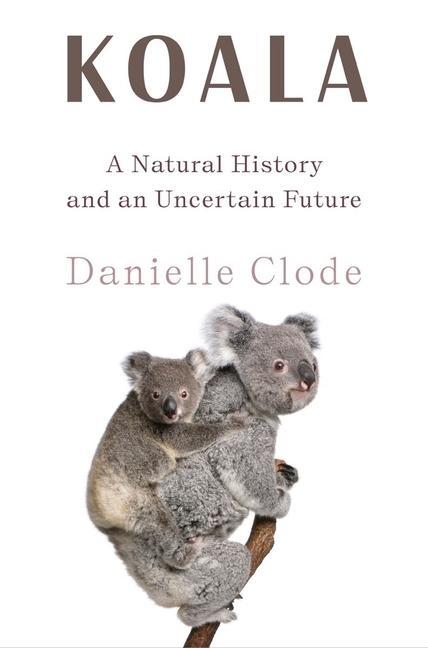 Kniha Koala 