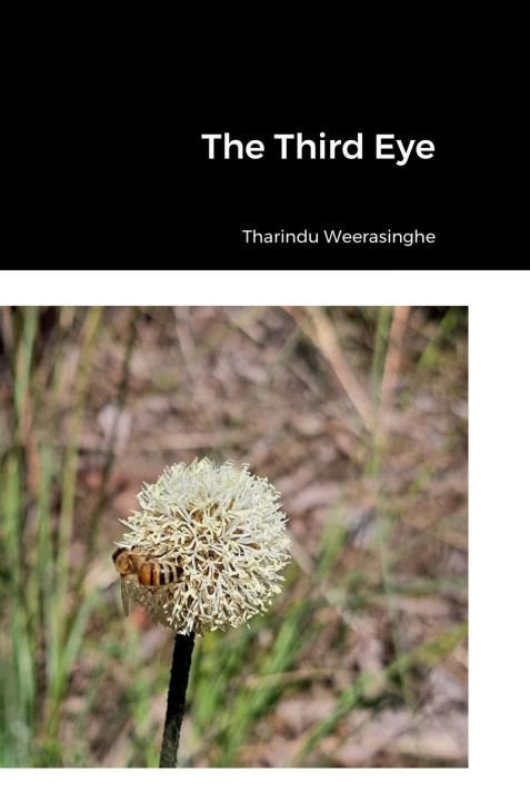 Knjiga Third Eye Tharindu Weerasinghe