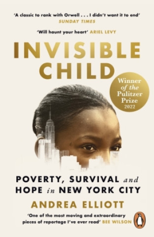 Kniha Invisible Child 