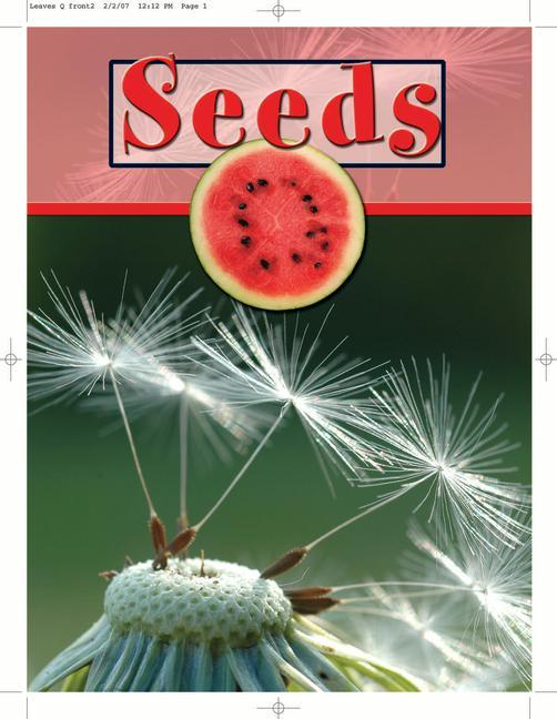 Knjiga Seeds Lynn Stone