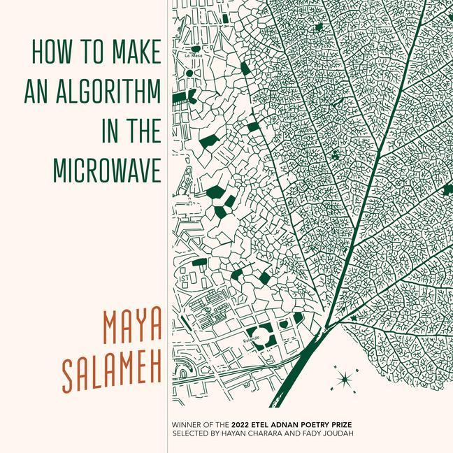 Книга How to Make an Algorithm in the Microwave Maya Salameh