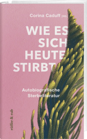Kniha Ein letztes Buch Christoph Schlingensief